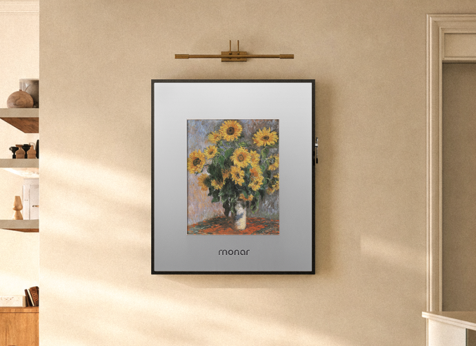 Interchangeable Frame I Metalic Simplicity