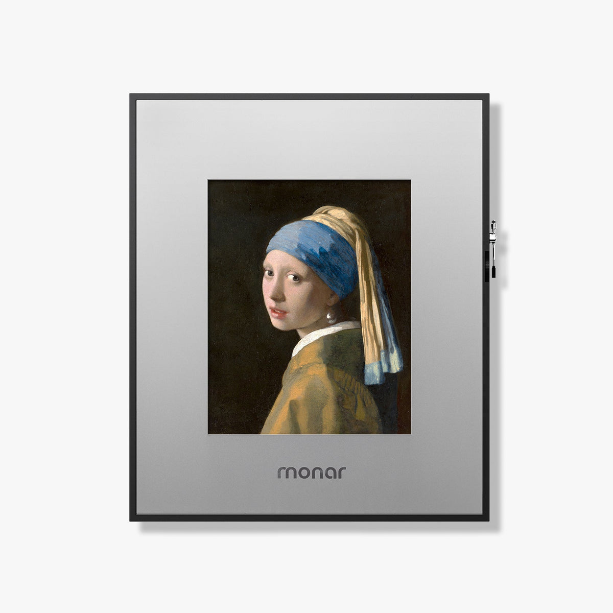 Metallic Simplicity Frame