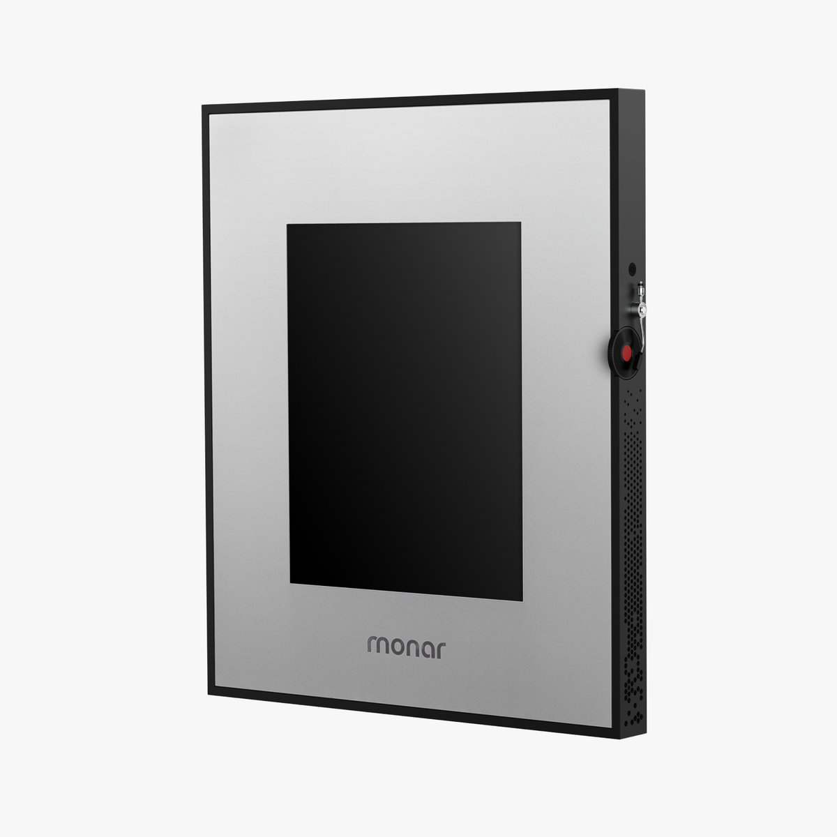Metallic Simplicity Frame
